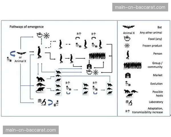 “历史时刻回顾:2022年,武汉三镇上演中超凯泽斯劳滕奇迹”